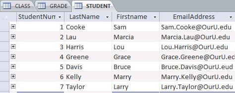 StudentNumber, EmailAddress, ... Again, a convention, not a syntax ...